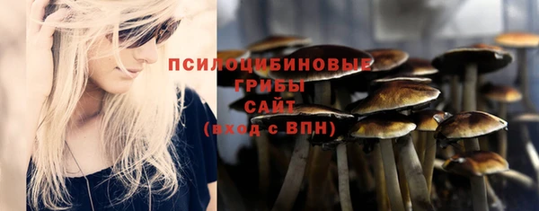 ПСИЛОЦИБИНОВЫЕ ГРИБЫ Володарск