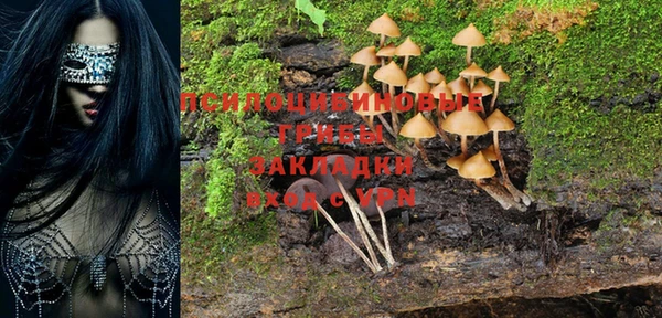 мяу мяу мука Богородицк